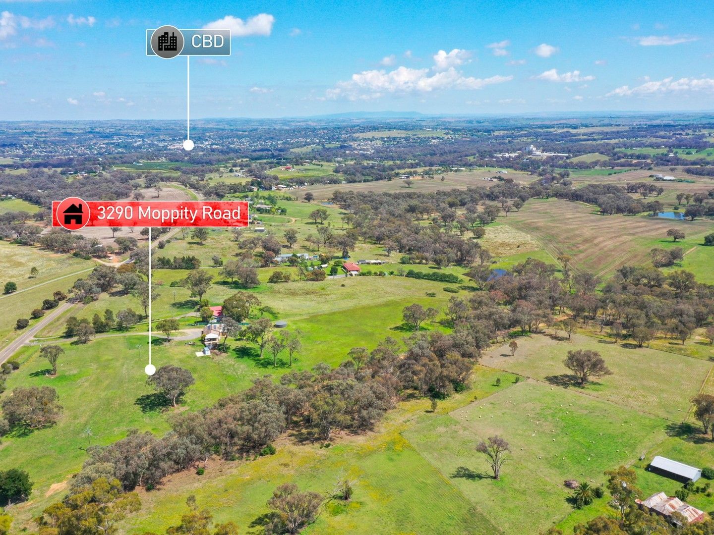 3290 Moppity Road, Young NSW 2594, Image 0