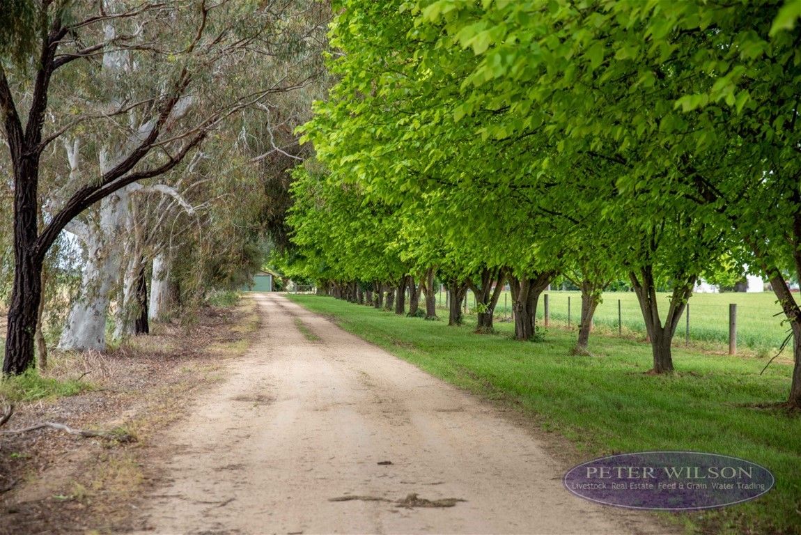 224 Chapel Road, Cobram VIC 3644 Mixed Farming Property for Sale