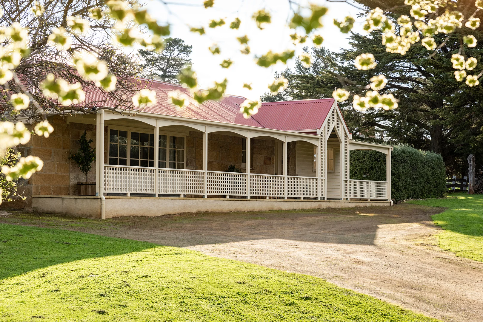 Image 12