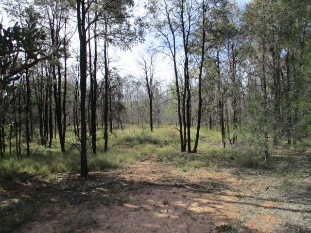 Rural in Parcel 59 Kytes Road, TARA QLD, 4421