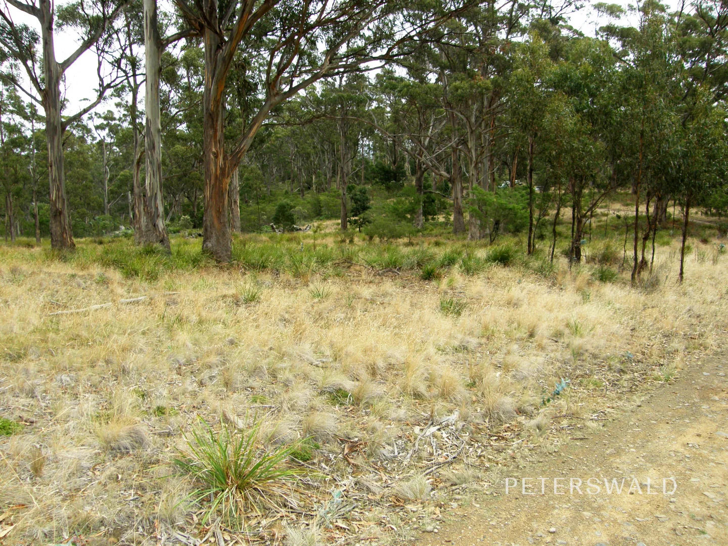 Image 15