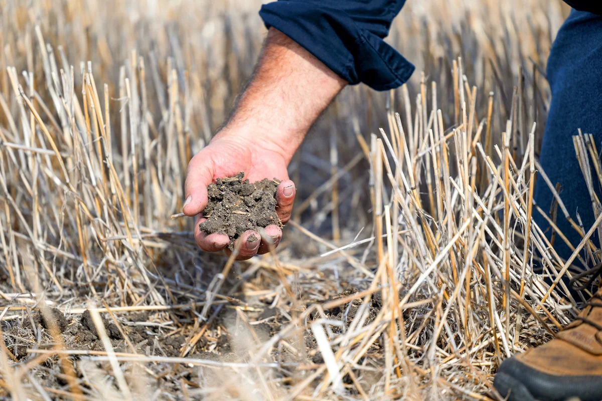 Additional image 16 of 'Trenayr' & 'Nanima' 2022 Terry Hie Hie Road, Moree NSW 2400