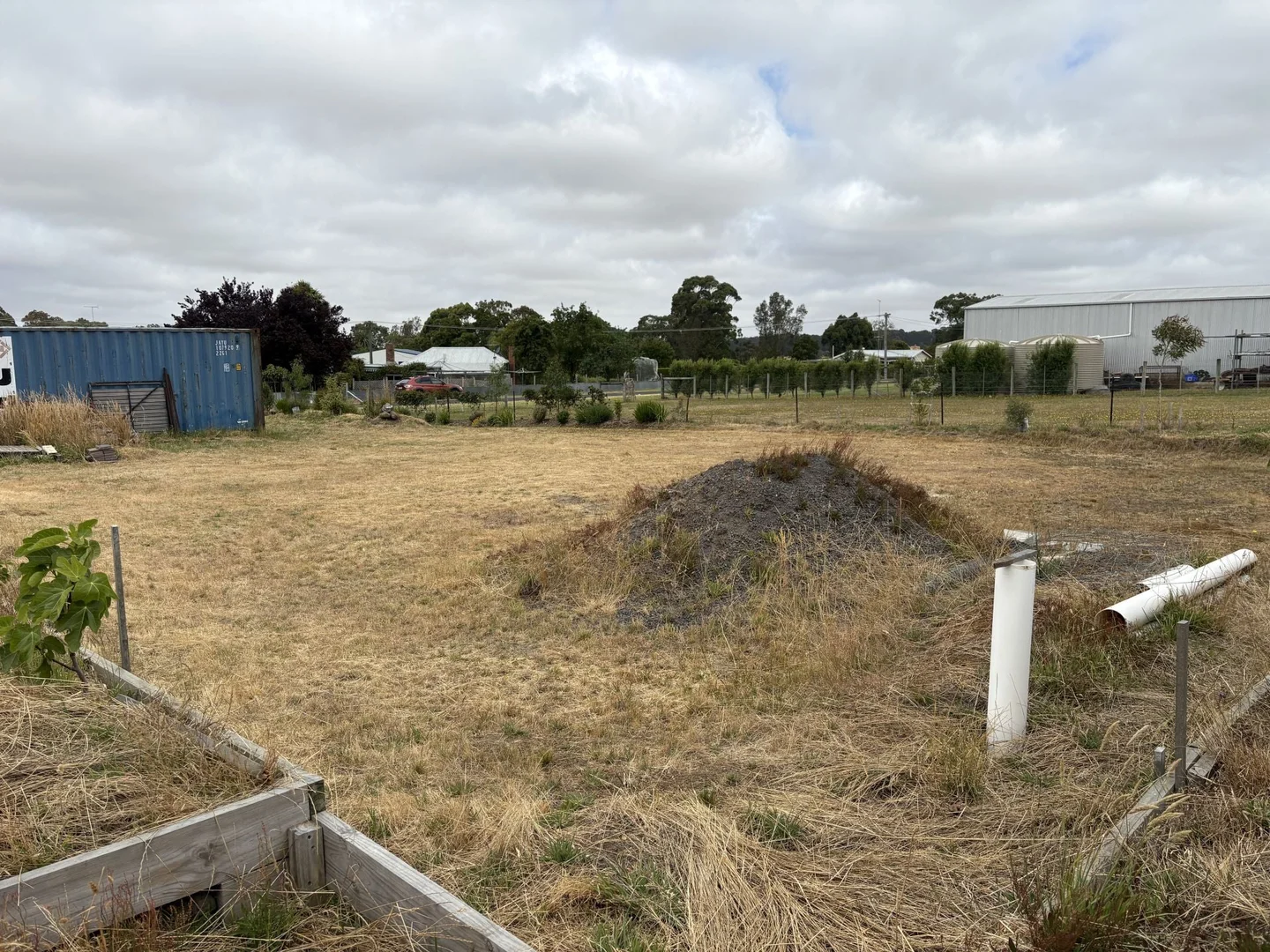 Image 15
