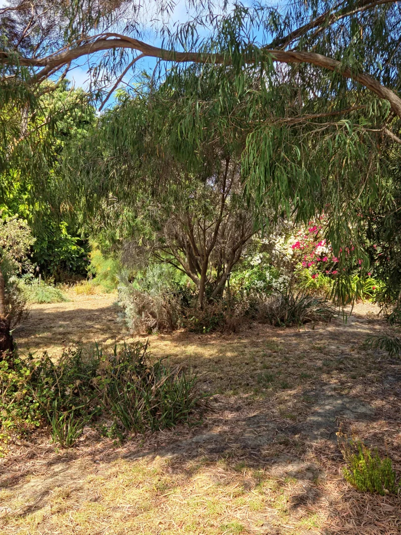 Additional image 52 of 17 Birdwood Street, Hopetoun WA 6348