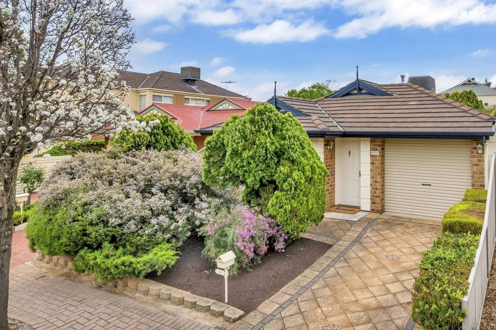 3 bedrooms House in 16 Briant Road MAGILL SA, 5072