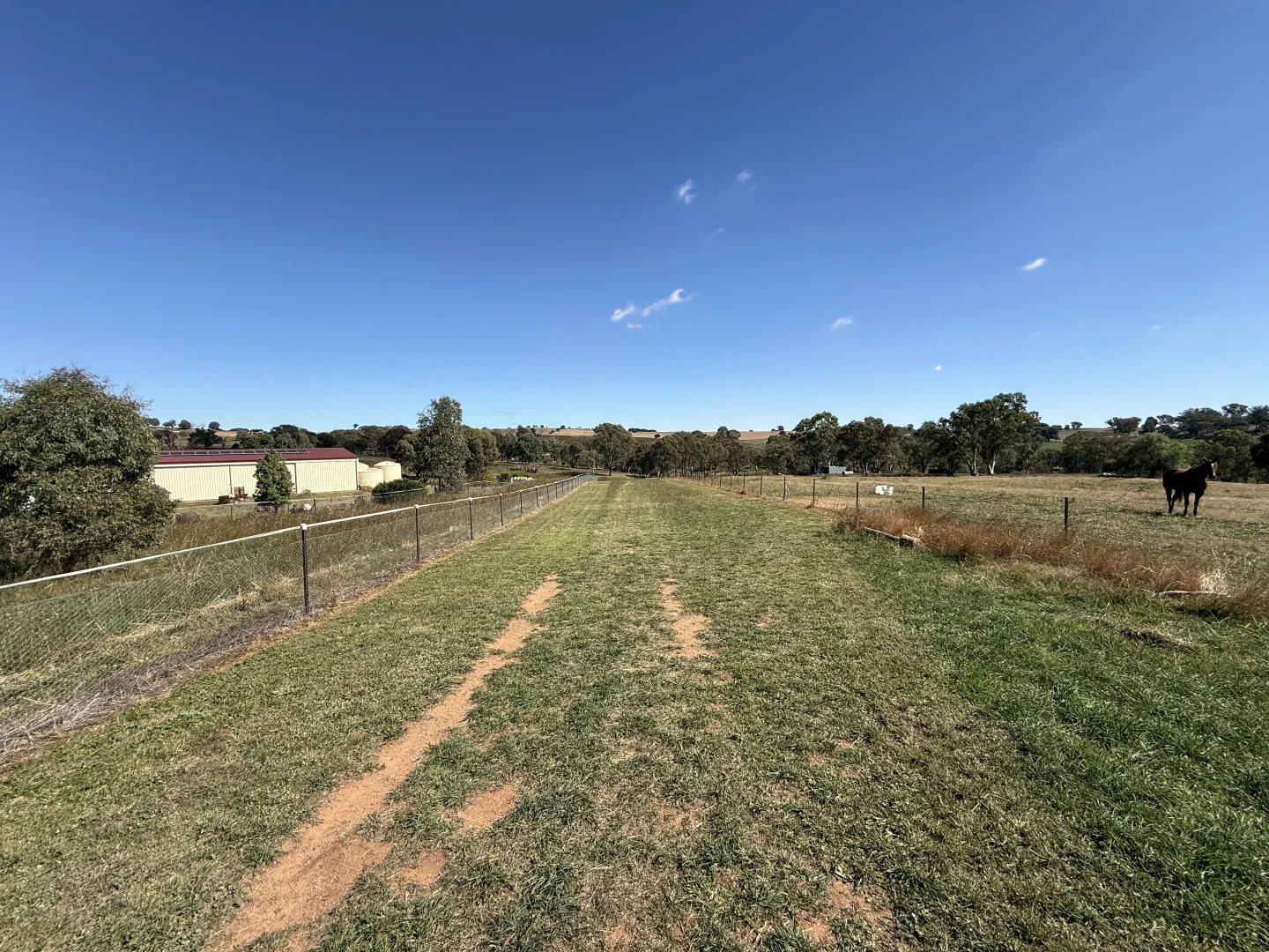Additional image 15 of 216 Good Friday Gully Road Maimuru via, Young NSW 2594