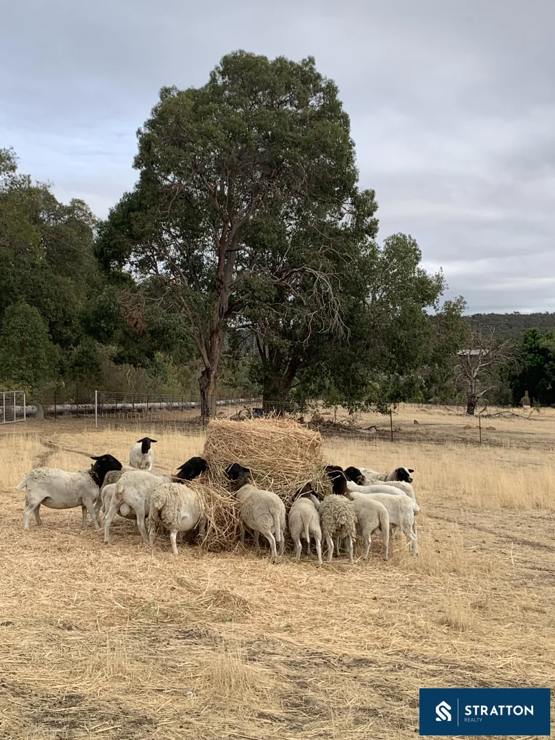 Additional image 5 of Wundowie WA 6560