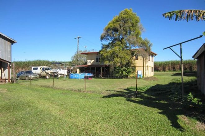 Picture of 432 INNISFAIL JAPOON Road, STOCKTON QLD 4871