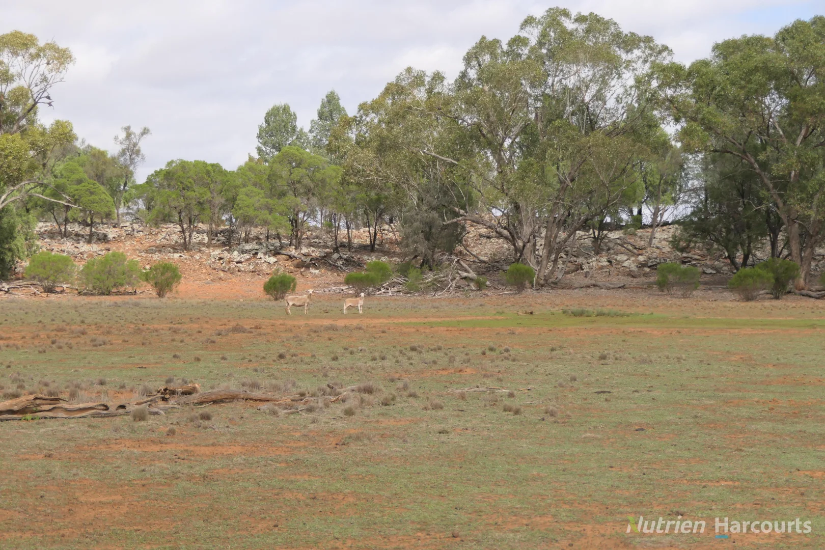 Image 12