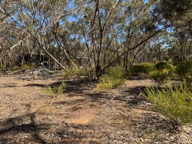 Image 15