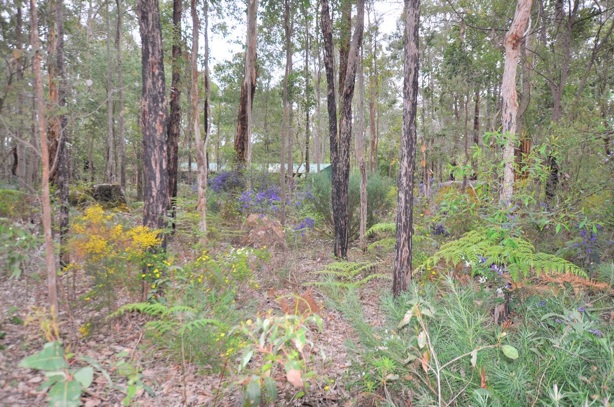 Lot 118 Karri Lane, Quinninup WA 6258, Image 2