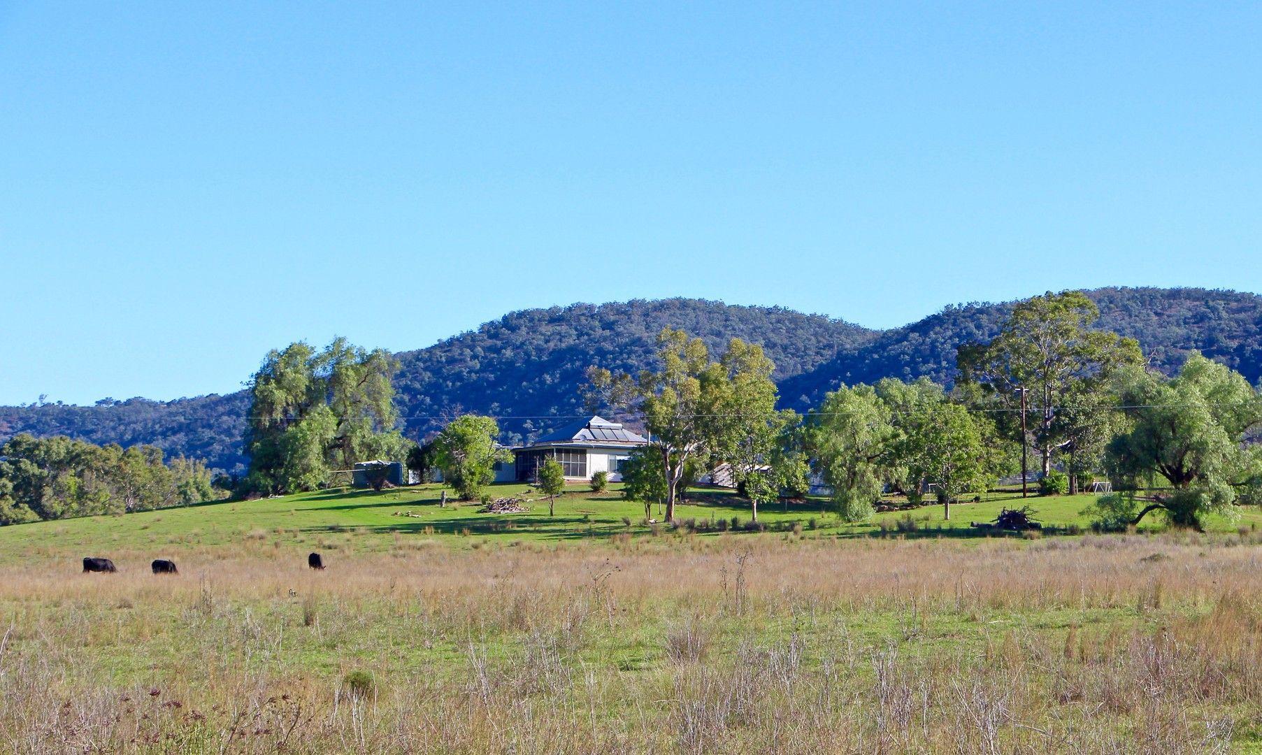 3 bedrooms Rural in 5413 Cobbadah Road BINGARA NSW, 2404