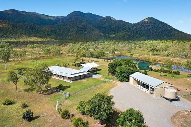 Picture of 242 Mountview Drive, TOONPAN QLD 4816