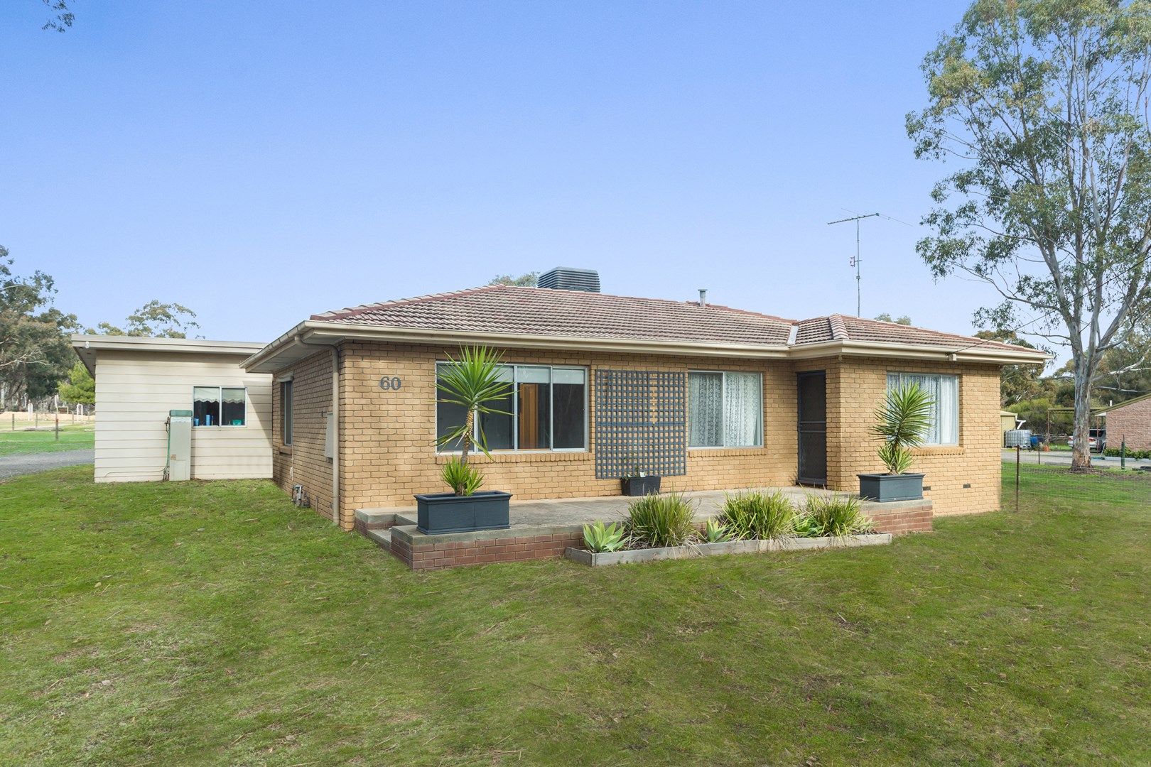 60 Golf Course Road, Ascot VIC 3551, Image 0