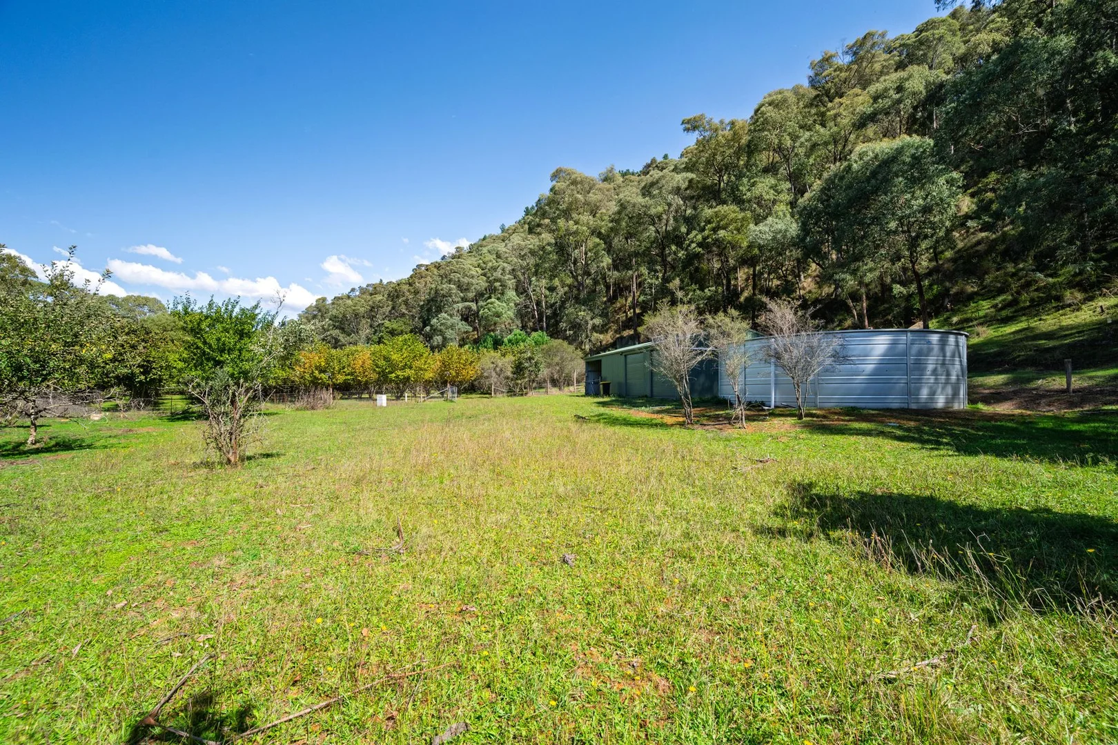 Additional image 4 of 828 Morses Creek Road, Wandiligong VIC 3744