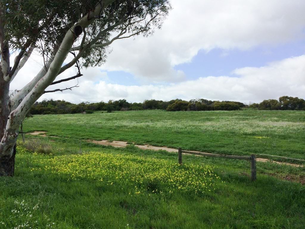 * The Midlands Road, Dongara WA 6525, Image 1