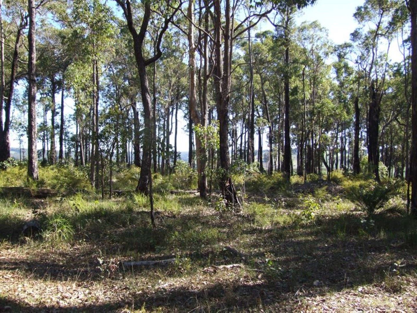 Lot 11 Russell Road, Balingup WA 6253 House for Sale 470,000