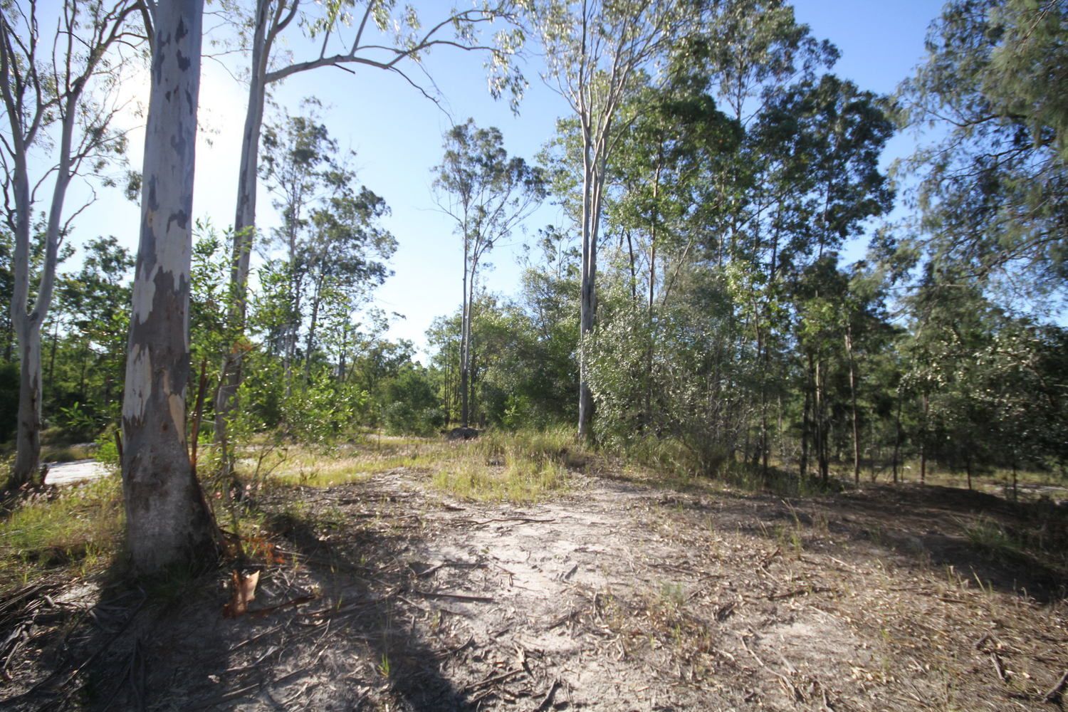 Lot 2 Jones Road, Manyung QLD 4605, Image 2