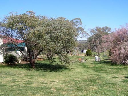 91 Main Street, Cudal NSW 2864, Image 2