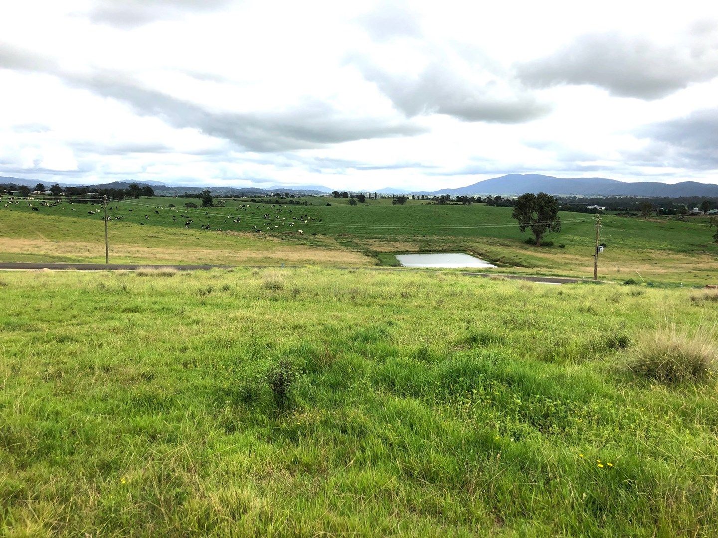 Lot 203 Barrumbarra Place, Bega NSW 2550, Image 0