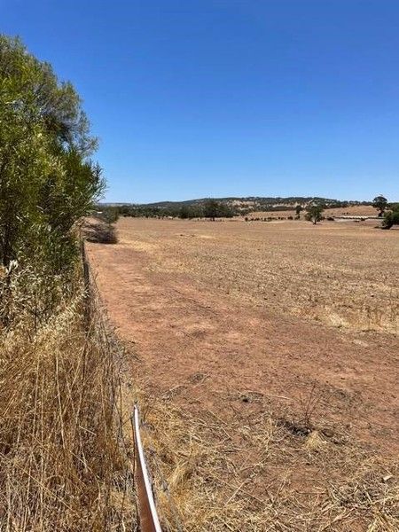 Lot 58 OSBORN ROAD, Mount Hardey WA 6302, Image 1