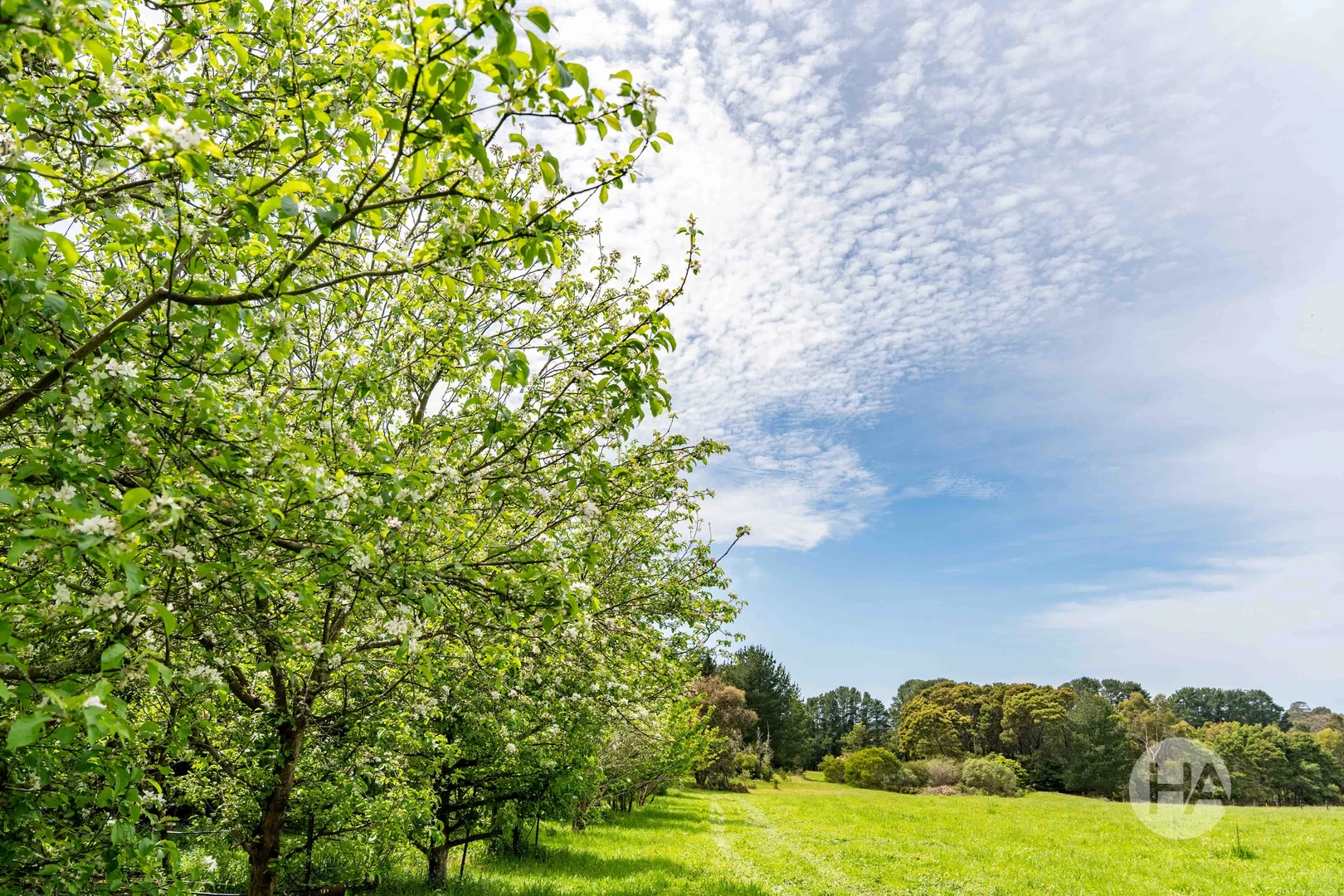 Additional image 5 of 83 Merricks Road, Merricks North VIC 3926