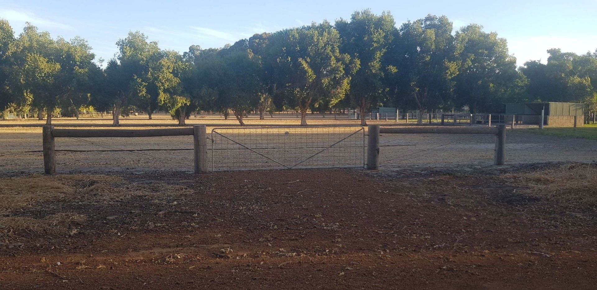 53 William Street, Boyanup WA 6237 Vacant Land for Sale 419,000