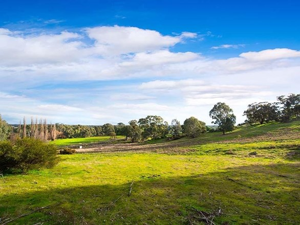 20 Cemetery Road, Newstead VIC 3462