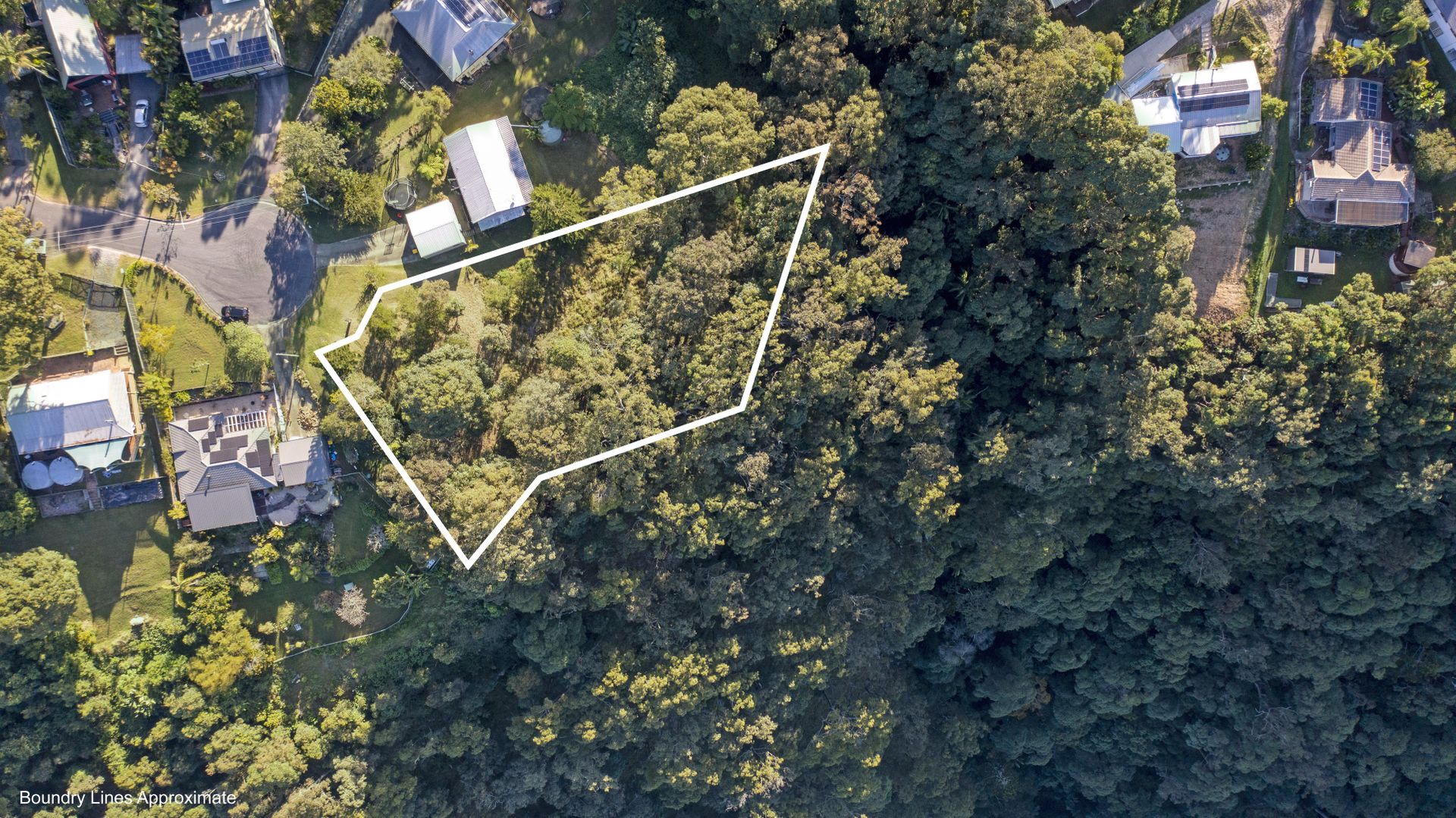 27 Orchis Drive, Tamborine Mountain QLD 4272, Image 2