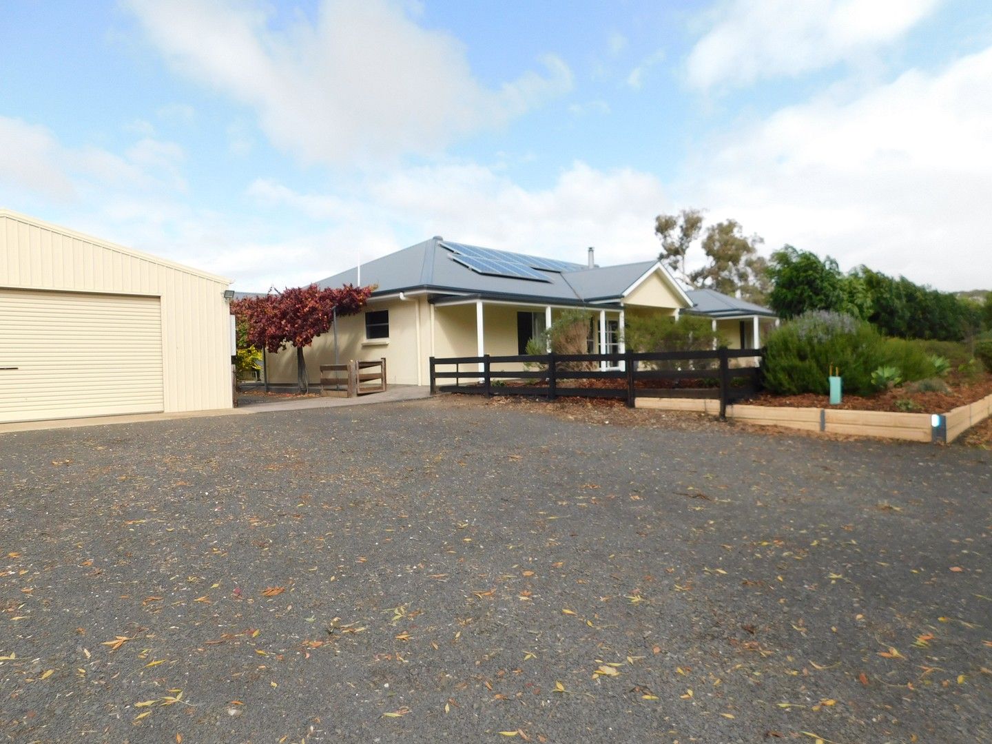 301 Rowney Road, Mundulla SA 5270 House For Rent 450 Domain