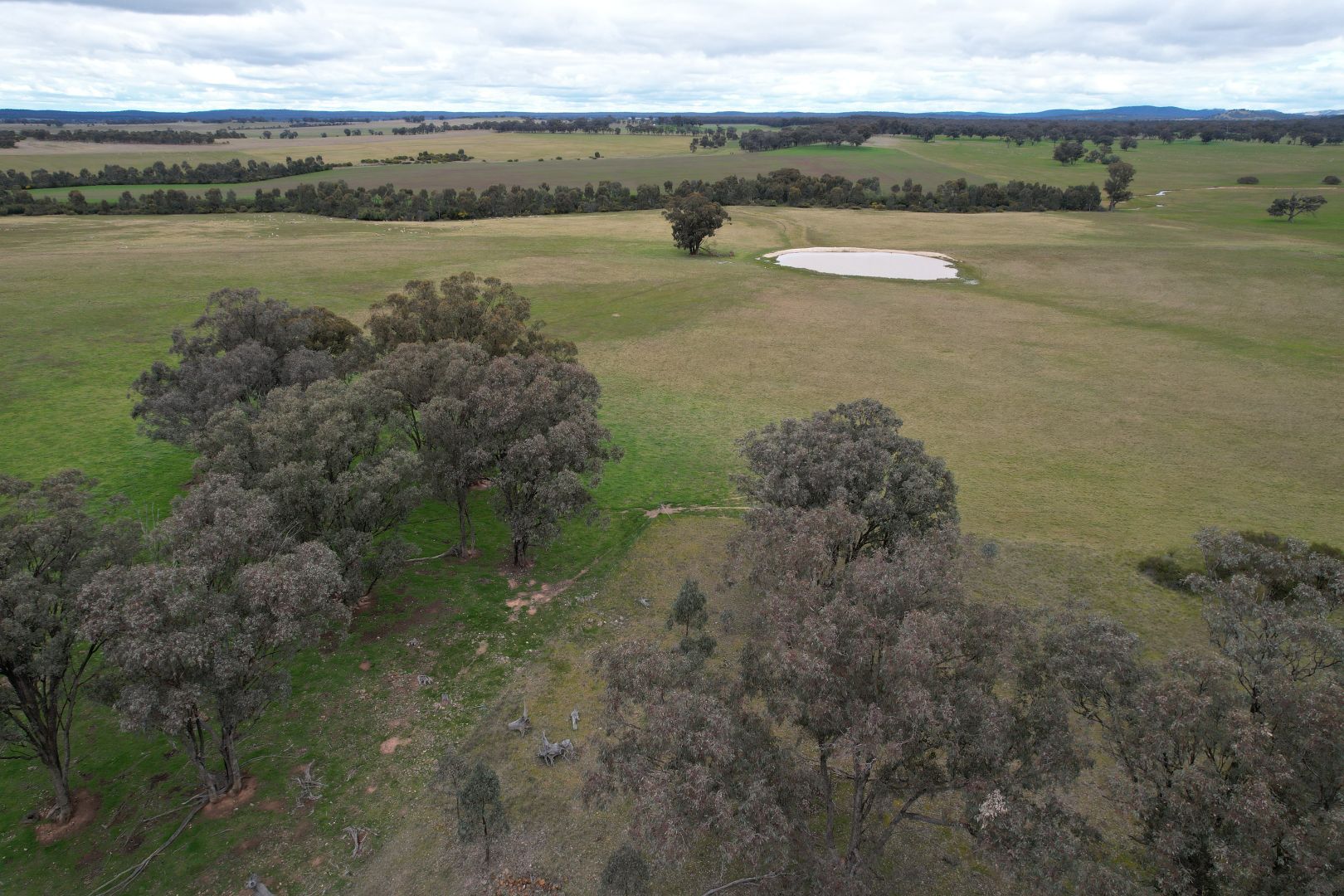 8 Dunolly-Orville Road, Murphys Creek VIC 3551, Image 1