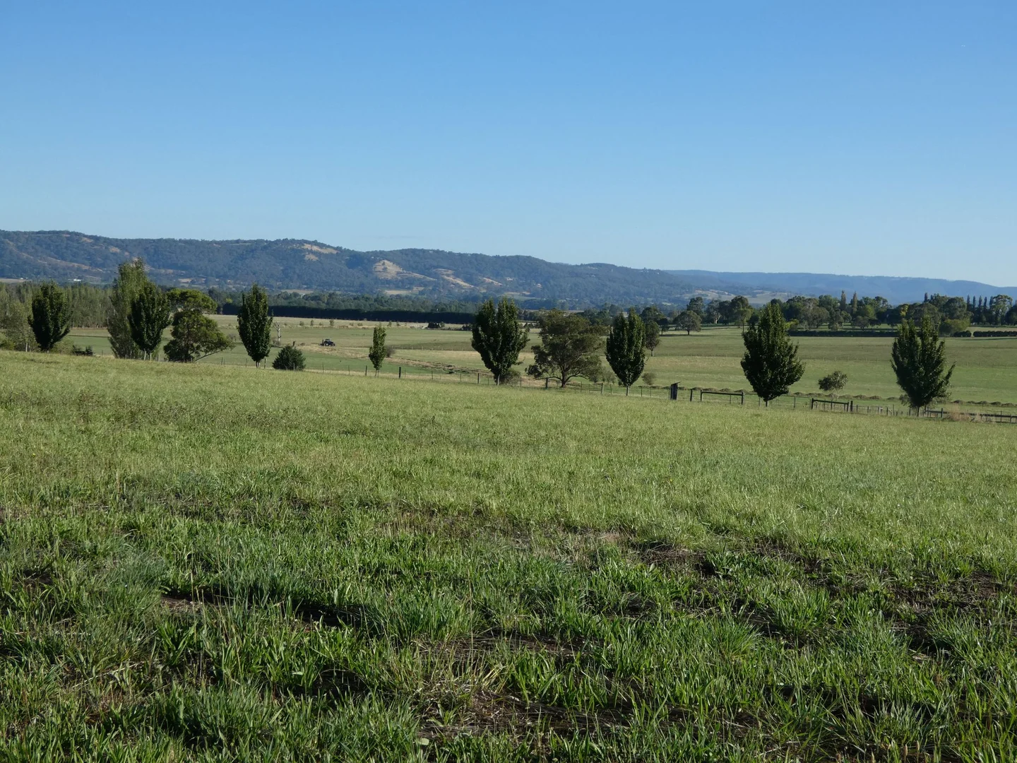 Image 14