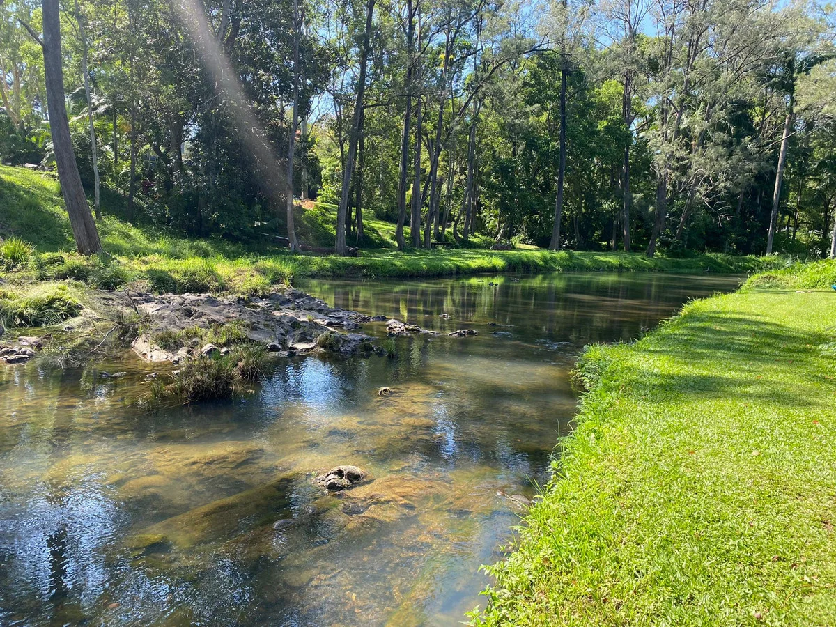 Image 15