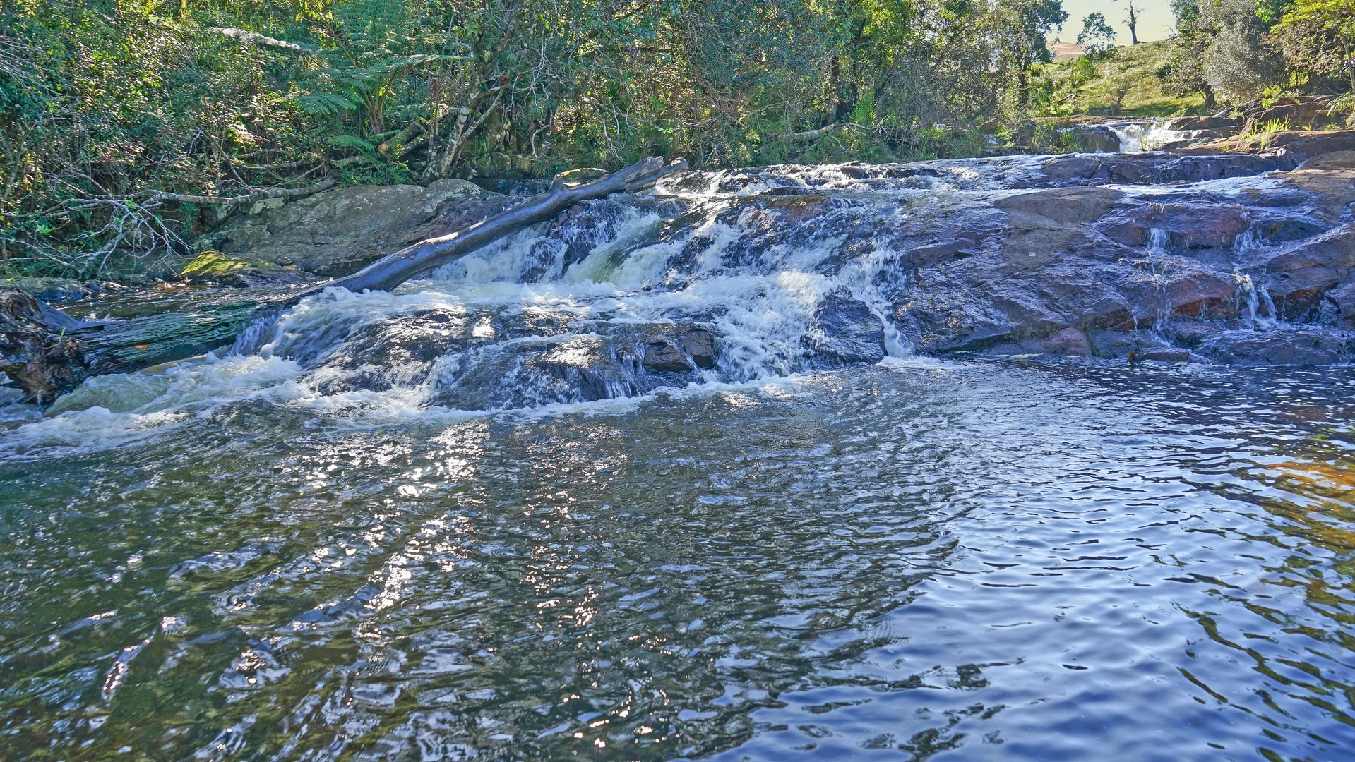Image 25