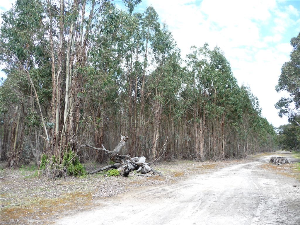 ' Booths', Manjimup WA 6258, Image 2