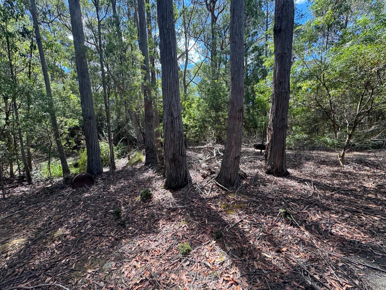 Image 11
