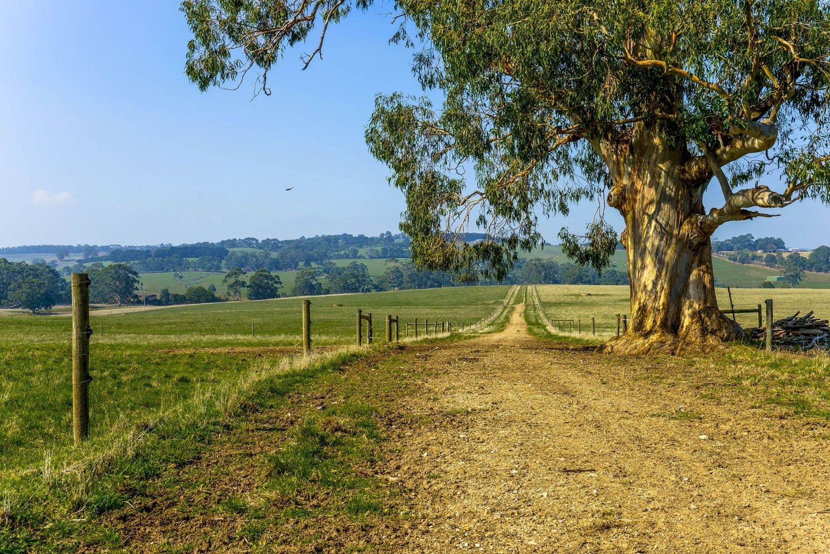 305 NERRENA ROAD, Leongatha VIC 3953, Image 0