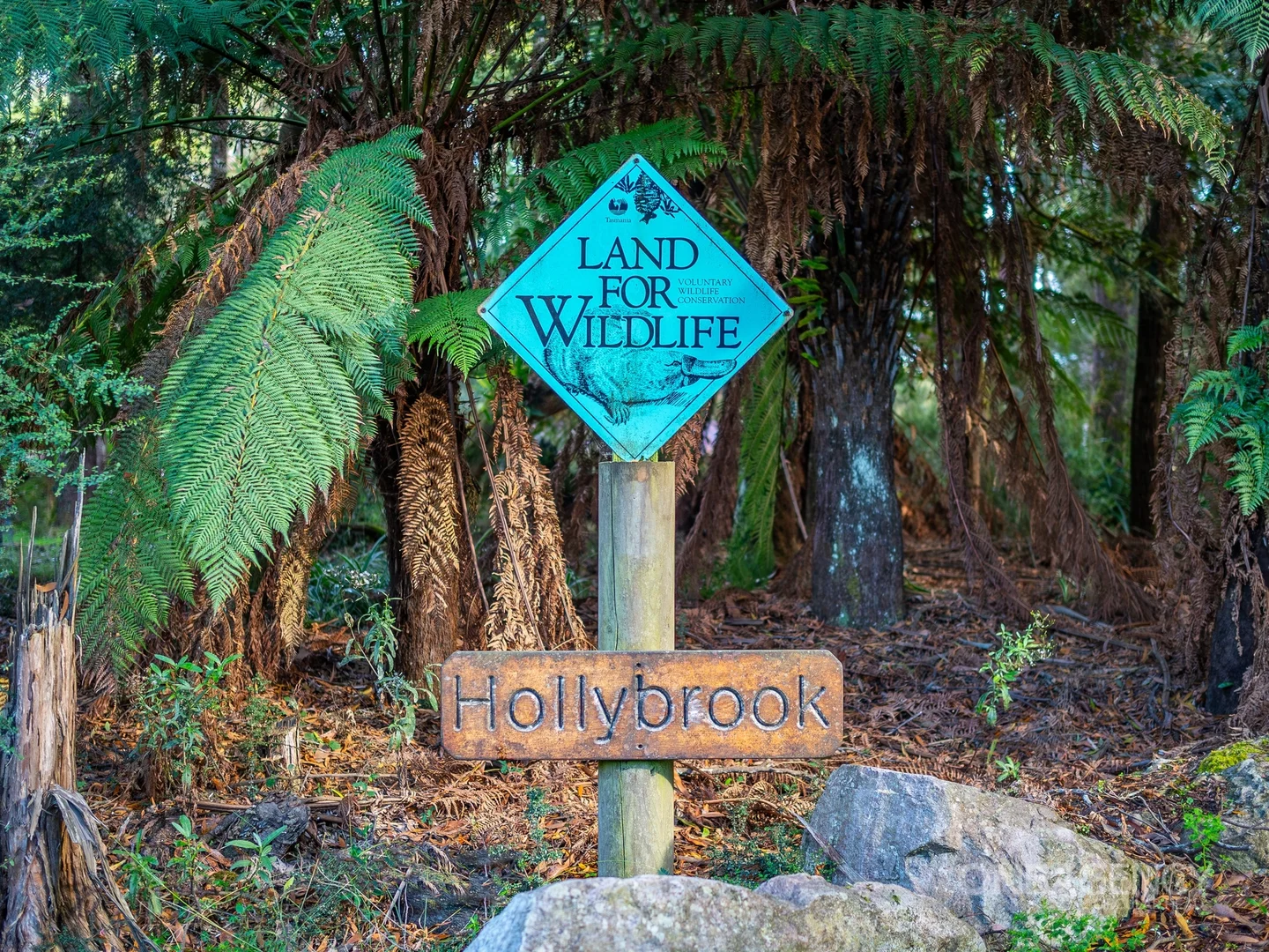 Additional image 23 of 22 Tierneys Road, Mengha TAS 7330