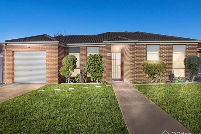 Picture of 1/12 Normanby Street, SYDENHAM VIC 3037