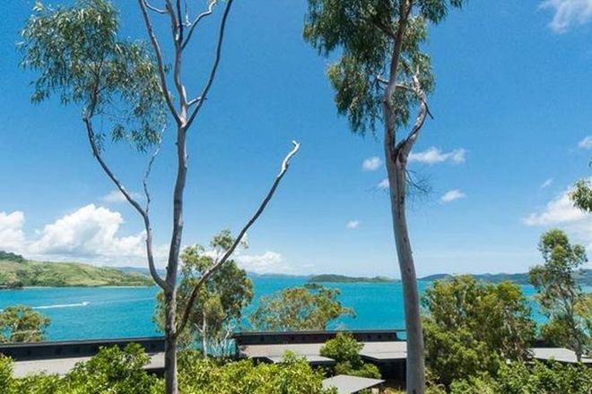 479 Real Estate Properties For Sale In Hamilton Island Qld 4803 Domain
