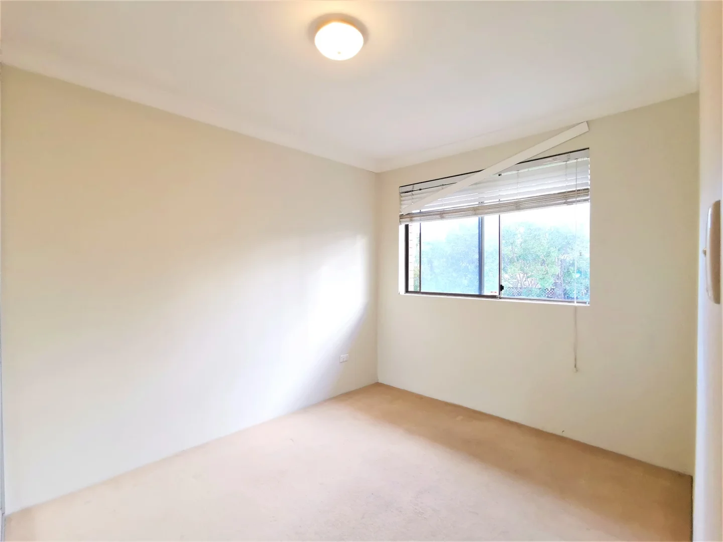 Additional image 7 of 24/2 Caledonian St, Bexley NSW 2207