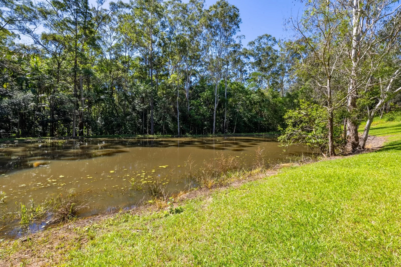 Additional image 26 of 43 Houghtons Road, Landers Shoot QLD 4555