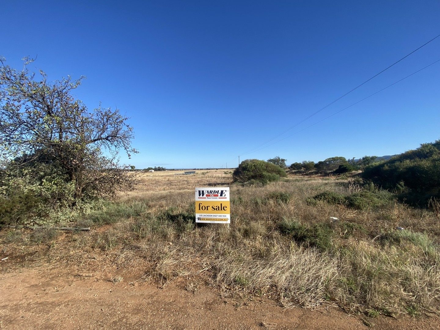 Lots 254 & 255 Quarry Road, Warnertown SA 5540, Image 0