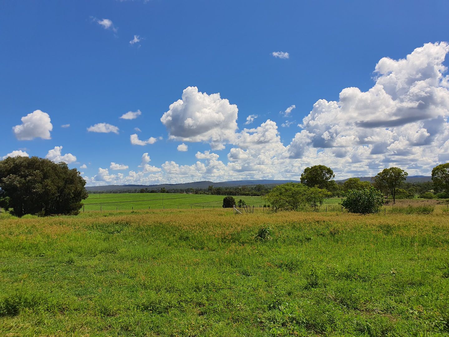 52 Luthje Road, Monto QLD 4630, Image 1