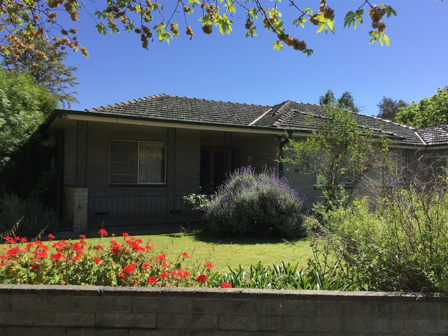 7173 Kennedy Street, Euroa VIC 3666 House For Rent 275.. Domain