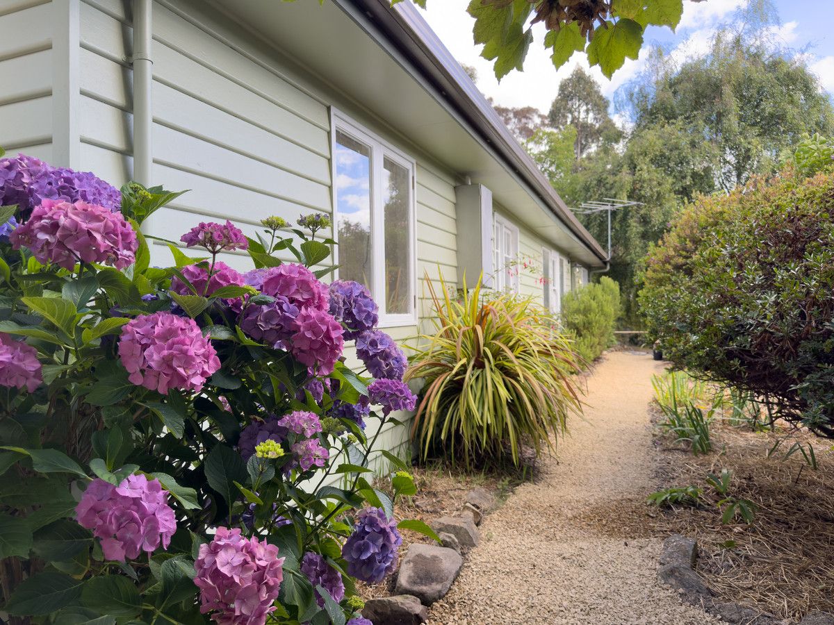 71 Proctors Road, Kingston TAS 7050 House For Rent Domain