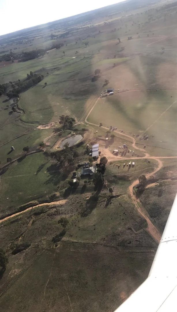 Image 25