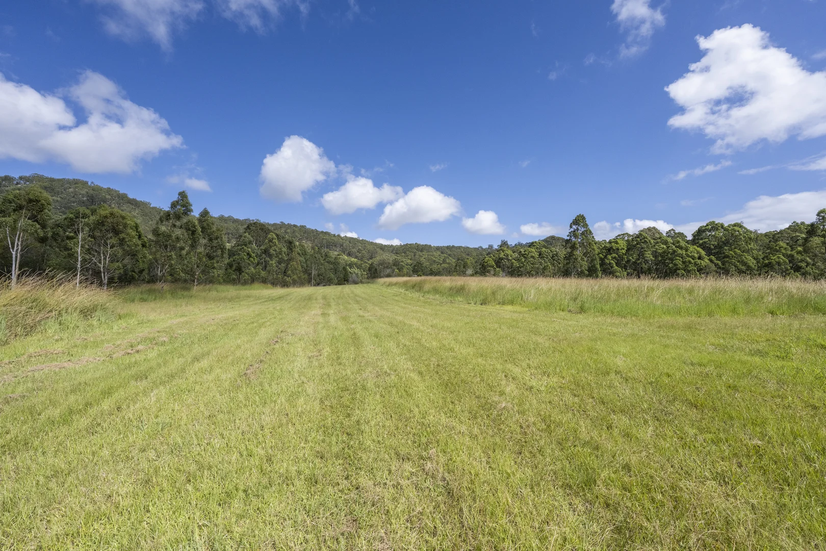 Additional image 9 of 800 Firth Heinz Road, Pillar Valley NSW 2462