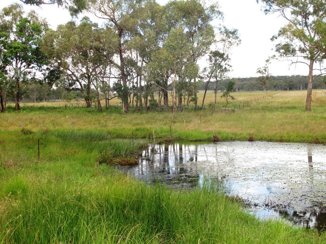 Lot 59 Cattarin Lane, Liston NSW 2372, Image 0