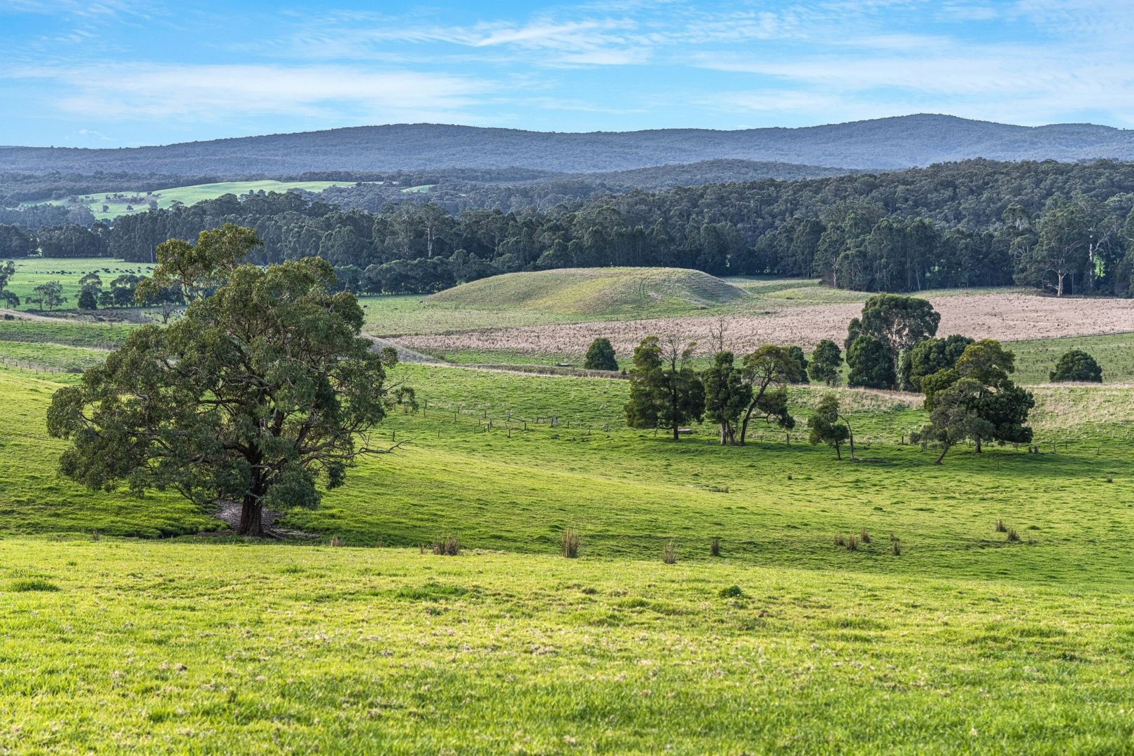 Lots 1 & 2, 195 Moomowroong Road, Carlisle River VIC 3239, Image 2